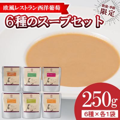 ふるさと納税 南陽市 欧風レストラン西洋葡萄の6種のスープセット(1袋250g×6種類)