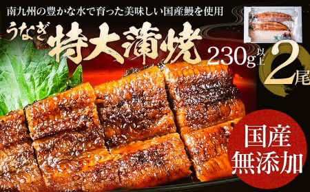 うなぎの特大蒲焼（2尾）230g以上×2尾　AE04