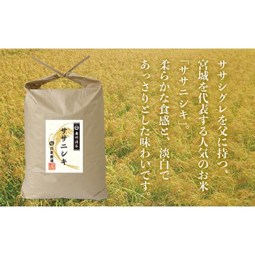 ふるさと納税 宮城県 涌谷町 令和5年産 新米・氏家農場のこだわりのお米「ササニシキ」5kg