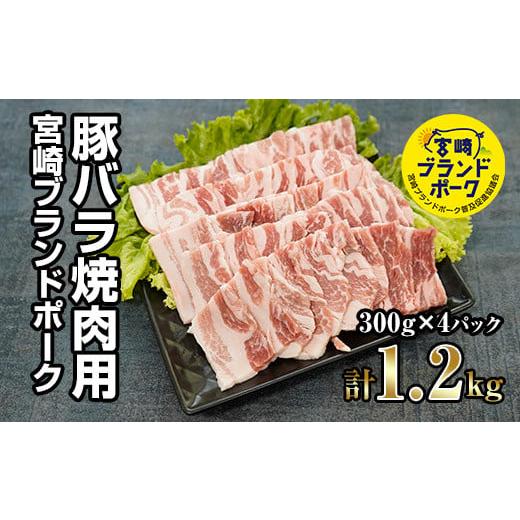 ふるさと納税 宮崎県 串間市 KU372 ＜毎月数量限定＞宮崎ブランドポーク 豚バラ 焼肉用 計1.2kg(300ｇ×4パック)