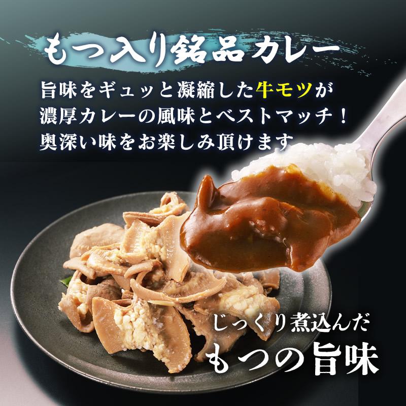 牛もつ入り 古賀カレー200g×3パック レトルト 食品 惣菜 おかず カレー 常温保存 送料無料