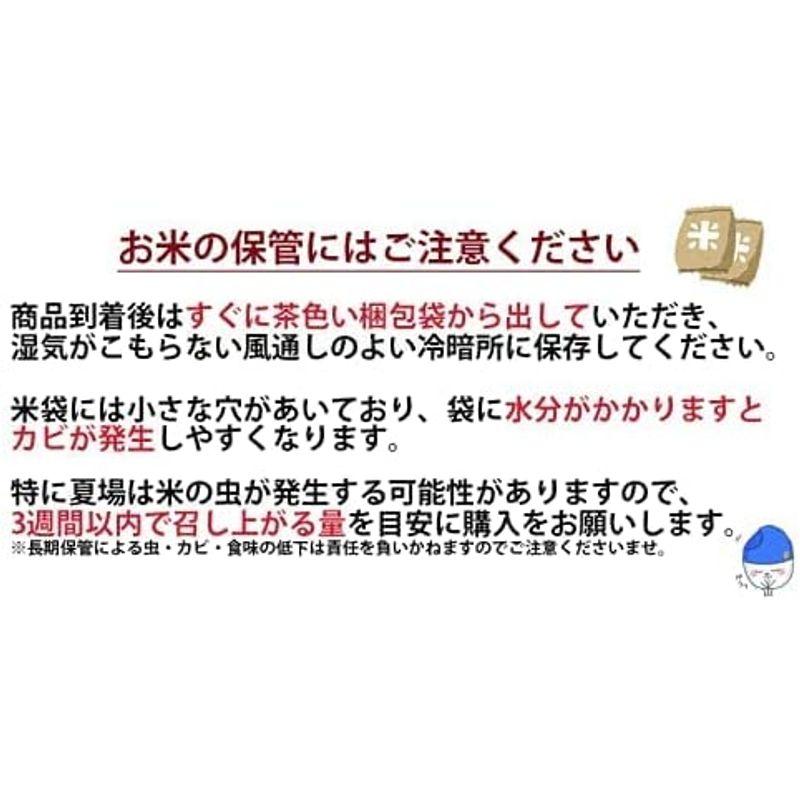 米 新米 福井県産福井米 白米 令和4年産 (30kg)