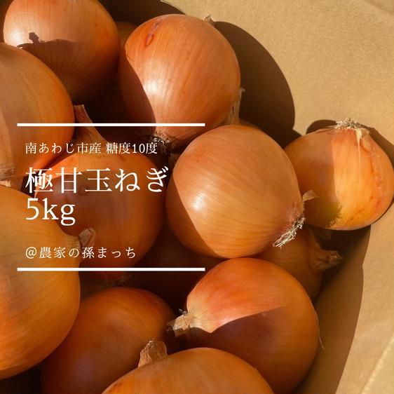 野菜 玉ねぎ 南あわじ市産 極甘玉ねぎ5kg 産地直送