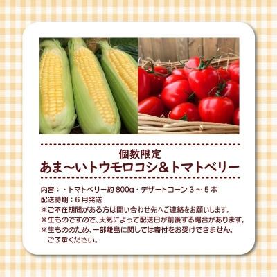 ふるさと納税 碧南市 あま〜いトウモロコシトマトベリー　長田農園しかできない夢の共演　H004-158