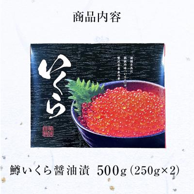 ふるさと納税 石巻市 鱒いくら醤油漬500g (250g×2)