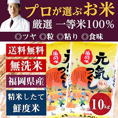 前田家 無洗米 プロが選ぶ一等 米 食味ランク 特A 元気つくし 10kg 精米 福岡県産