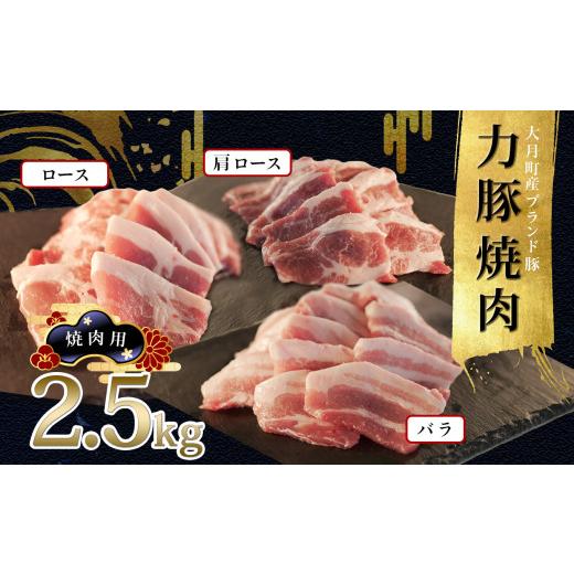 ふるさと納税 高知県 大月町 力豚焼き肉2.5kgセット