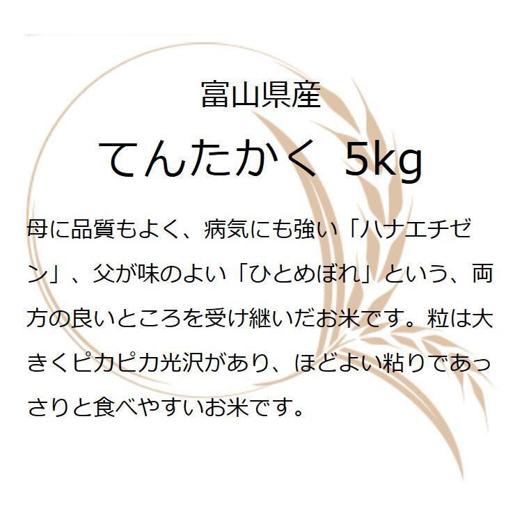 新米 お米 ギフト 米 5kg てんたかく 富山県産 5キロ 令和5年産 お米ギフト 精米 白米 分づき米 食品 入学内祝い 引っ越し 挨拶