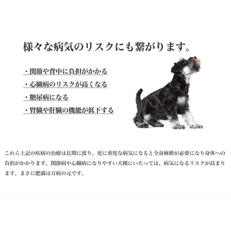 ロイヤルカナン CCN エクストラスモール ライトウェイトケア 超小型犬 減量したい犬用 1.5kg (52901164) ※お一人様5個まで [犬 ドッグ ドライフード]