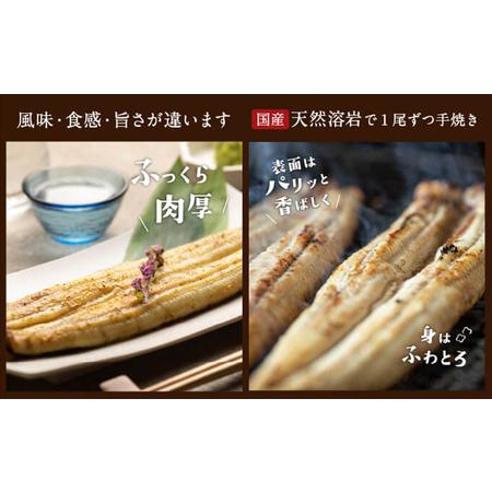 ふるさと納税 朝じめ うなぎ 溶岩焼き 白焼き 5尾（約140g×5尾） 静岡県浜松市