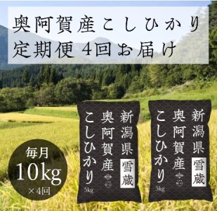  令和5年産 新潟県産 奥阿賀 こしひかり 10kg（5kg × 2袋） ファーストクラス機内食採用産地 白米 精米 送料無料 お取り寄せ お米