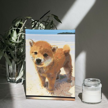 阿柴海邊走走 創意數字油畫 【銷售排行榜】台灣本島免運