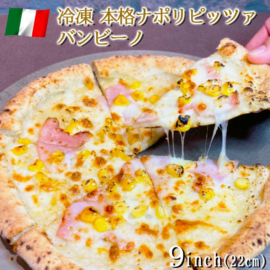 ピザ イタリア屋タニーチャ 長時間低温発酵 生地がおいしい 冷凍 ピッツァ バンビーノ 22cm  送料無料 本格 ナポリタイプ ピザ