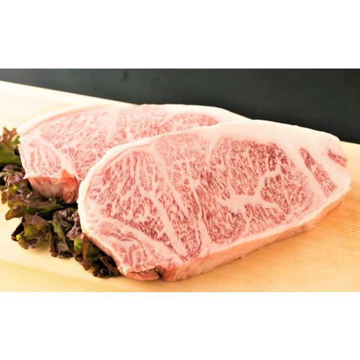 ふるさと納税 福岡県 太宰府市 博多和牛 サーロインステーキ セット 500g（250g×2枚） 肉 牛肉 福岡 太宰府