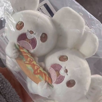 臺灣出貨💥超萌日本寶可夢餐廳吉祥物毛絨玩具系列一對鼠公仔掛件玩偶禮物