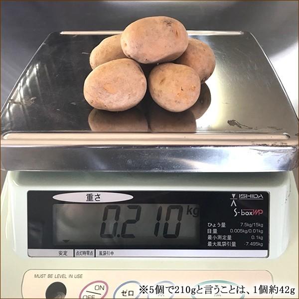 北海道産 じゃがいも ご家庭用 ひと口 インカのめざめ 5kg ジャガイモ 馬鈴薯 新じゃが 越冬 野菜 自宅用 北海道 食品 グルメ 送料無料 お取り寄せ