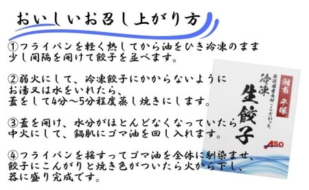 こだわりの餃子　湘南麻生製麺　冷凍生餃子90個　（30個×3箱）