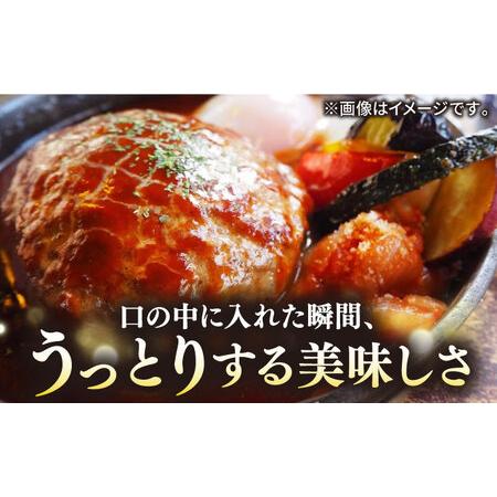 ふるさと納税 壱岐牛 A5ランク 牛ミンチ 約500g×6 《壱岐市》 [JER048] 小分け ミンチ 3kg 挽き肉 ひき肉 .. 長崎県壱岐市