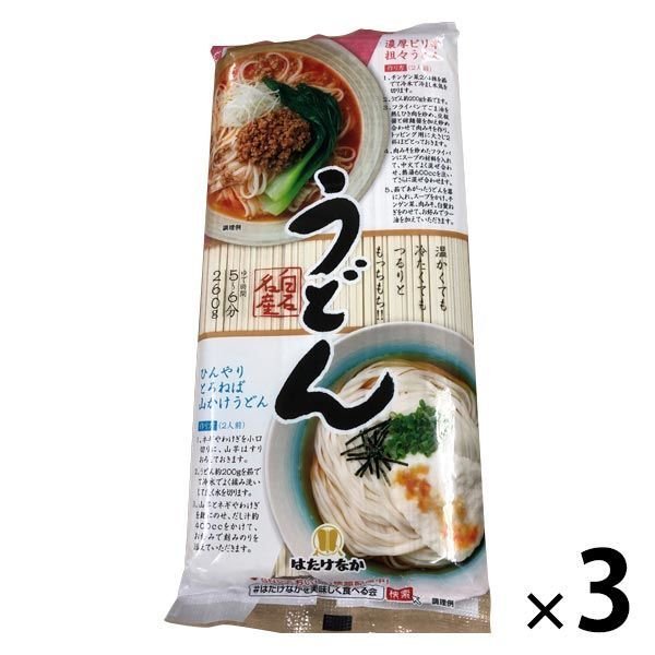 はたけなか製麺はたけなか製麺 名産うどん 260g 3個