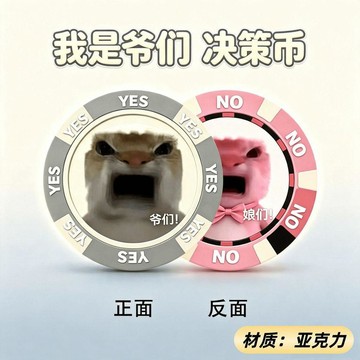 【臺灣🚍秒】爆笑熱梗“我是爺們”亞克力決策幣YES/NO幸運幣搞怪玩具解壓禮物