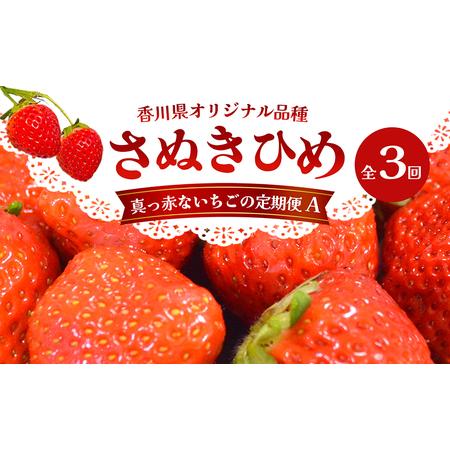 ふるさと納税 東かがわ市真っ赤な「いちご」の定期便（A） 香川県東かがわ市