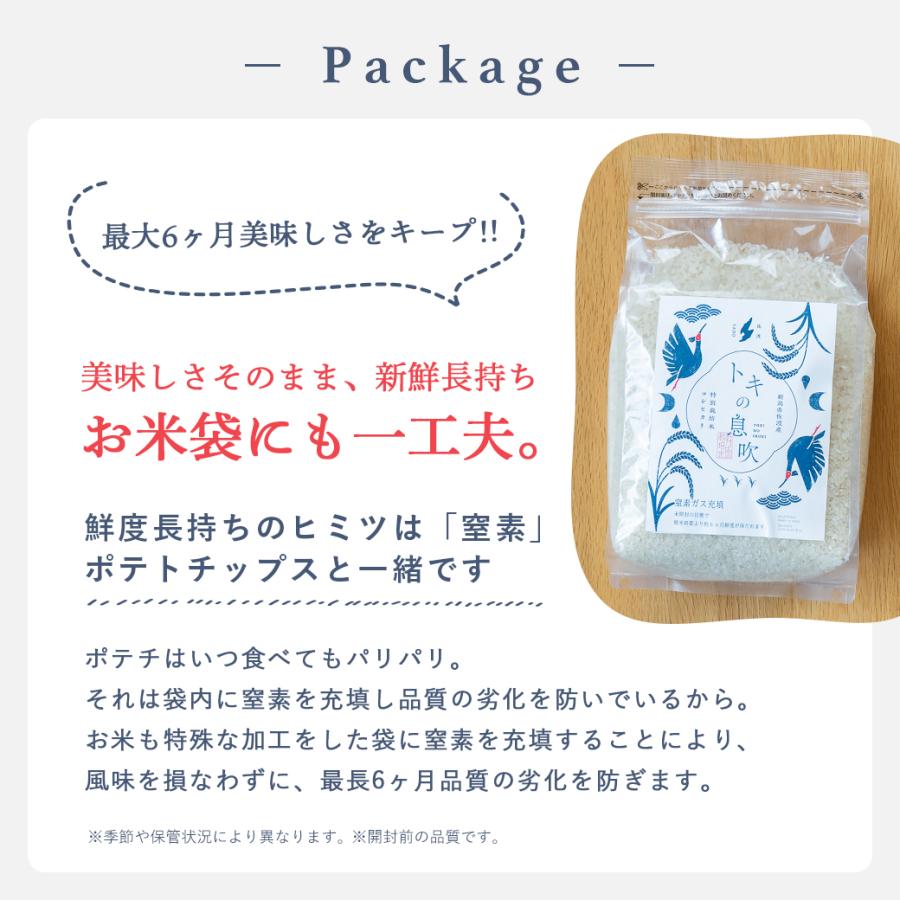 無洗米 4kg (2kg×2袋) コシヒカリ 新潟 佐渡 特別栽培米 こしひかり 令和4年産 送料無料