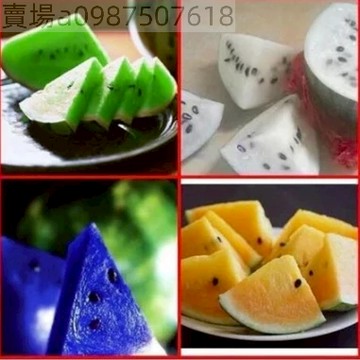 現貨 稀有七彩西瓜（20粒）稀有 西瓜種子 特色西瓜種子 七彩顏色 口感豐富 發芽超快 四季種植 90%發芽率