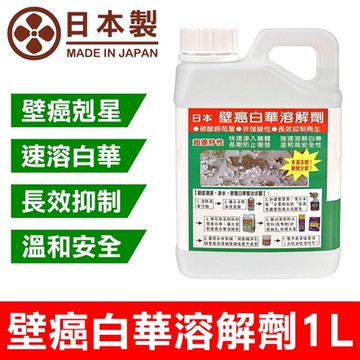 【十田修繕】日本壁癌白華溶解劑 1L