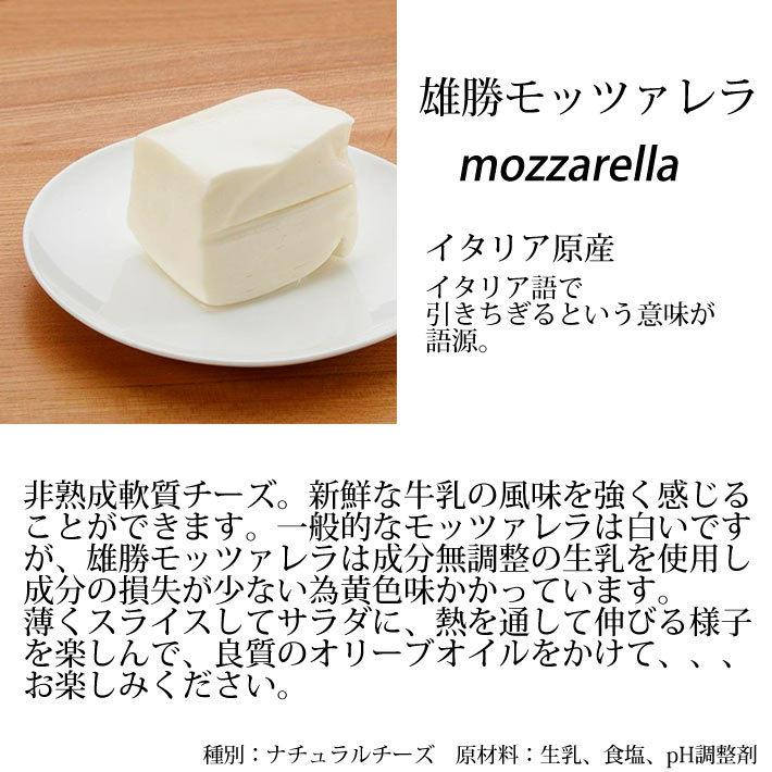 チーズ 詰め合わせ セット 明通り チーズ 定番4種類 カチョカバロ カマンベール モッツァレラ おつまみ 生産者直送のためほかの商品と同梱不可