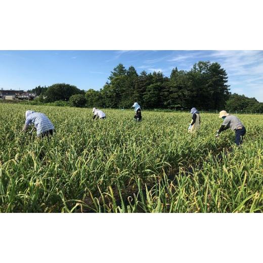 ふるさと納税 青森県 田子町 青森県産 黒にんにく バラ 200g×4パック