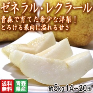 ゼネラル・レクラーク 西洋梨 約5kg 14～20玉 青森県産 JA共撰品 なめらかな食感とジューシーで豊かな甘さ！