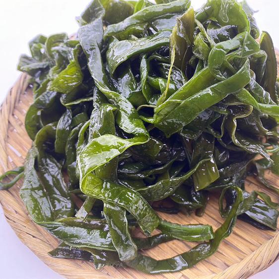 魚介類 海藻 在庫処分セール　玄界灘の塩茎わかめ　おすすめレシピ付き 産地直送