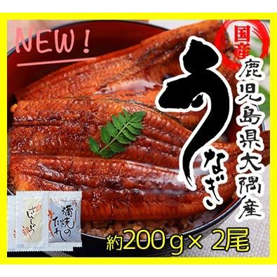 鹿児島 鰻 大隅産 特大 肉厚で美味しい 鰻の蒲焼き 国産ウナギ 200g×2尾 山椒・タレ付 うなぎ お中元 土用丑の日 うなぎ