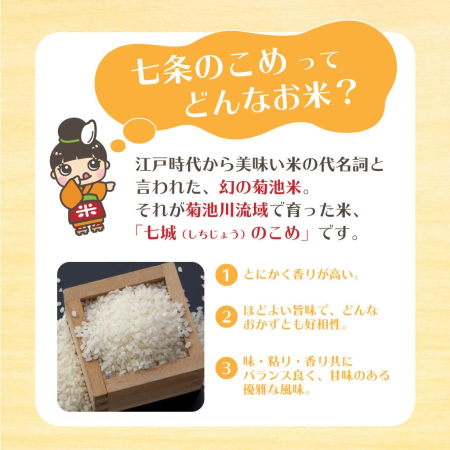 熊本県産 七城のこめ 20kg (5kg×4袋）白米 おうち時間 おすすめ おいしい おにぎり お弁当 送料無料