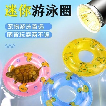 臺灣出貨🚚烏龜迷你遊泳圈寵物小孩洗澡戲水玩具水上漂浮小黃鴨水培多肉