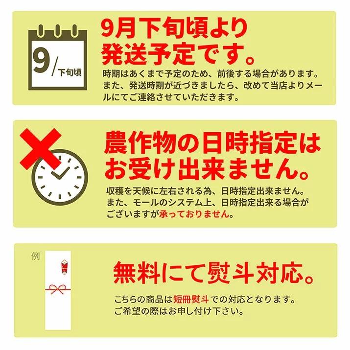 ぶどう 秀品 シャインマスカット 約1.2kg (2〜3房入り) 山形県産 ブドウ ギフト 贈答 プレゼント 化粧箱 贈り物 大粒 産地直送 (遠方送料加算)