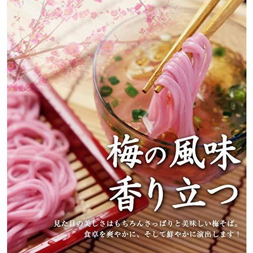 ふみこ農園 紀州南高梅入り 梅そば 500g 梅香るさっぱりとしたざるそば（ご家庭用 5人前 めんつゆ付）