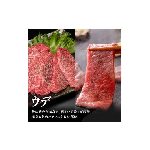 ふるさと納税 宮崎県 川南町 ※令和6年3月発送※宮崎牛焼肉6種 600g