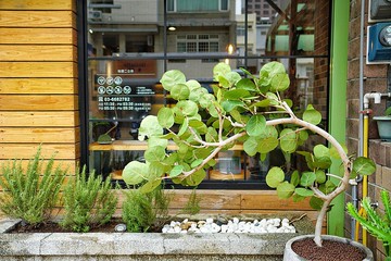 【空間綠化設計案】義式餐館 | 地中海風格
