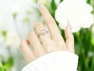 小小宇宙 - 醫療鋼兩用鏈戒-雪納瑞