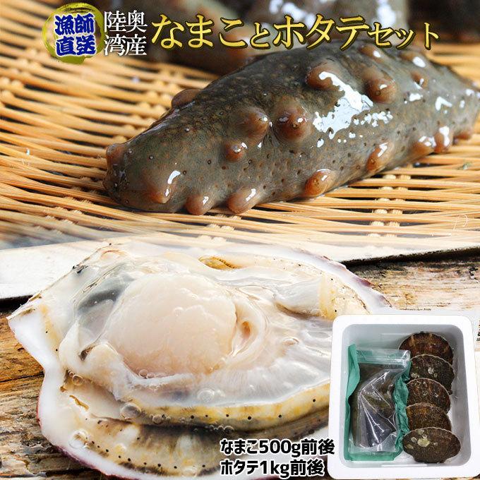 青森県陸奥湾産 ナマコ と ホタテ のセット 送料無料  なまこ ほたて を直送 [※クール便][※他商品と同梱不可]