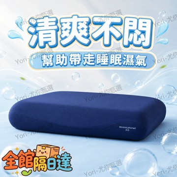 🌟台灣出貨🌟 夏季寢具 舒眠好物 居家睡眠 仰側睡適用 長時間睡覺 替換枕套 床包配件 防汗枕套 梅雨季快乾 太空枕套