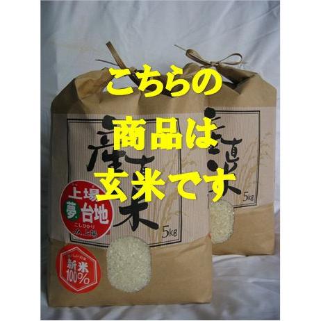 コシヒカリ 佐賀県上場産 棚田米 ５kg×２ 送料無料    九州産