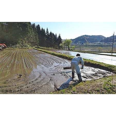 ふるさと納税 48-M10Z新潟県長岡産特別栽培米コシヒカリ10kg 新潟県長岡市