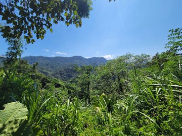 近關西高中、台三線內山公路旁景觀農地｜新竹縣關西鎮七寮