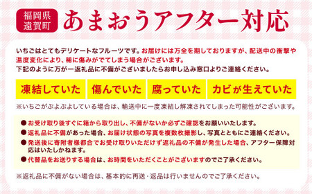 あまおう 約280g×6パック 苺 イチゴ いちご 果物 フルーツ