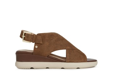 GEOX D PISA SANDALS 棕色女款鞋子