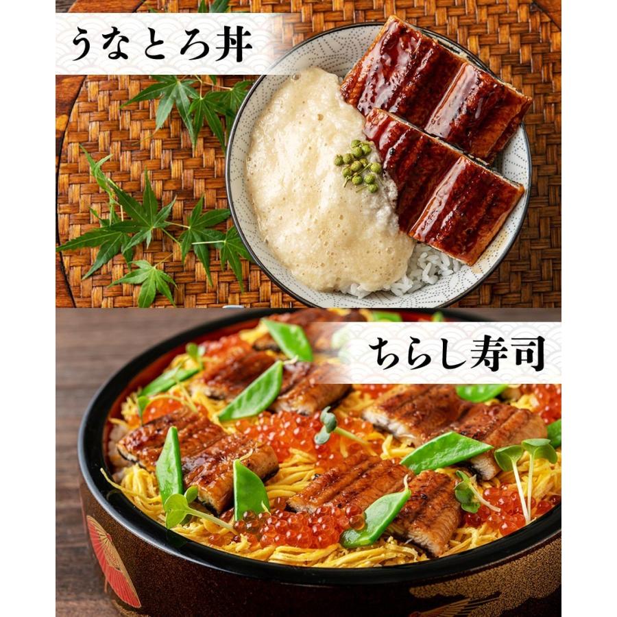 うなぎ 蒲焼き 鰻 国産 無投薬 約180g×2尾 2本 特大 風呂敷包み ウナギ かば焼き タレ 冷凍便 ギフト お取り寄せ