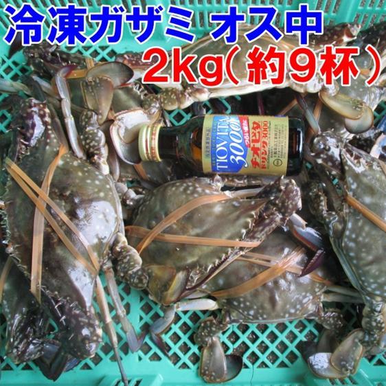 魚介類 カニ 冷凍 ワタリガニ オス中サイズ２ｋｇ約９杯 渡り蟹 ガザミ 産地直送