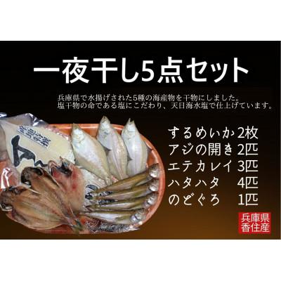 ふるさと納税 香美町 一夜干し5点セット